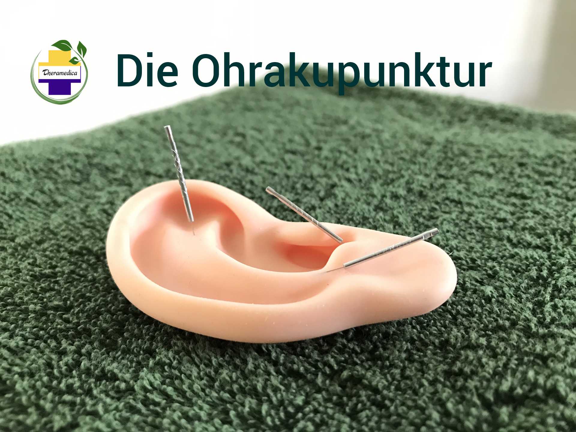 Ohrakupunktur_Theramedica.jpg